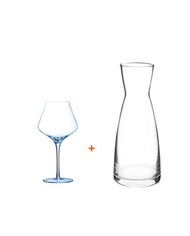 Buy 12 pcs Reveal Up 45cl Stem Glass Get 50cl Ypsilon Decanter Free