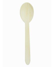 Pack of 100 teaspoons Earth Essentials (100 units)