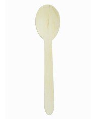 Pack of 100 spoons Earth Essentials (100 units)