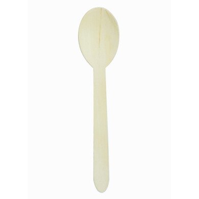 Pack of 100 spoons Earth Essentials (100 units)