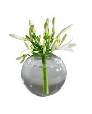 FLOWER VASE BOWL CLEAR Ø10CM GLASS