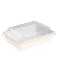 BOX KRAFT SALAD PET LID L20X15CM PACK OF 20  