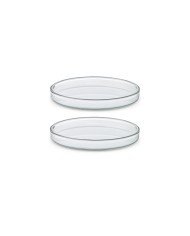 DUO SET OF 2 TAPAS DISHES D10.2XH1.4CM + D9.5XH1.8CM GLASS PACK OF 36
