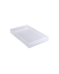 T-COLLECTION LUCITE TRAY RECTANGULAR ICE WHITE L53 X W32.5 X H7.5CM PMMA TIGER